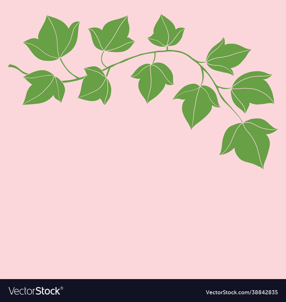 Simplicity ivy freehand drawing flat design