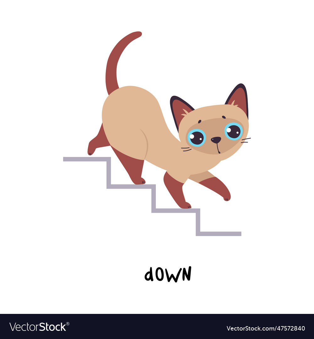 Little brown cat walk down stair as english Vector Image