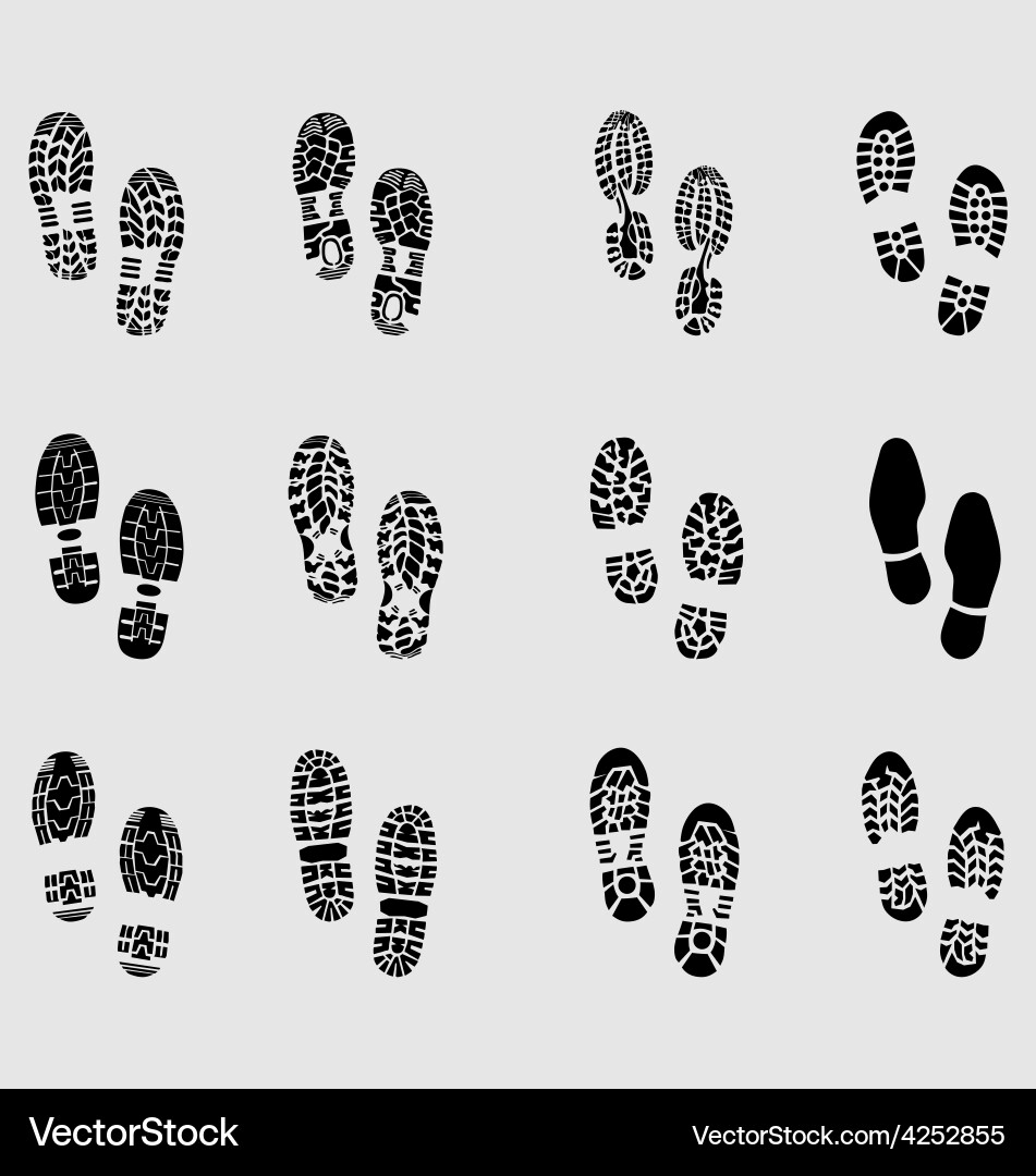 Shoes Royalty Free Vector Image - VectorStock