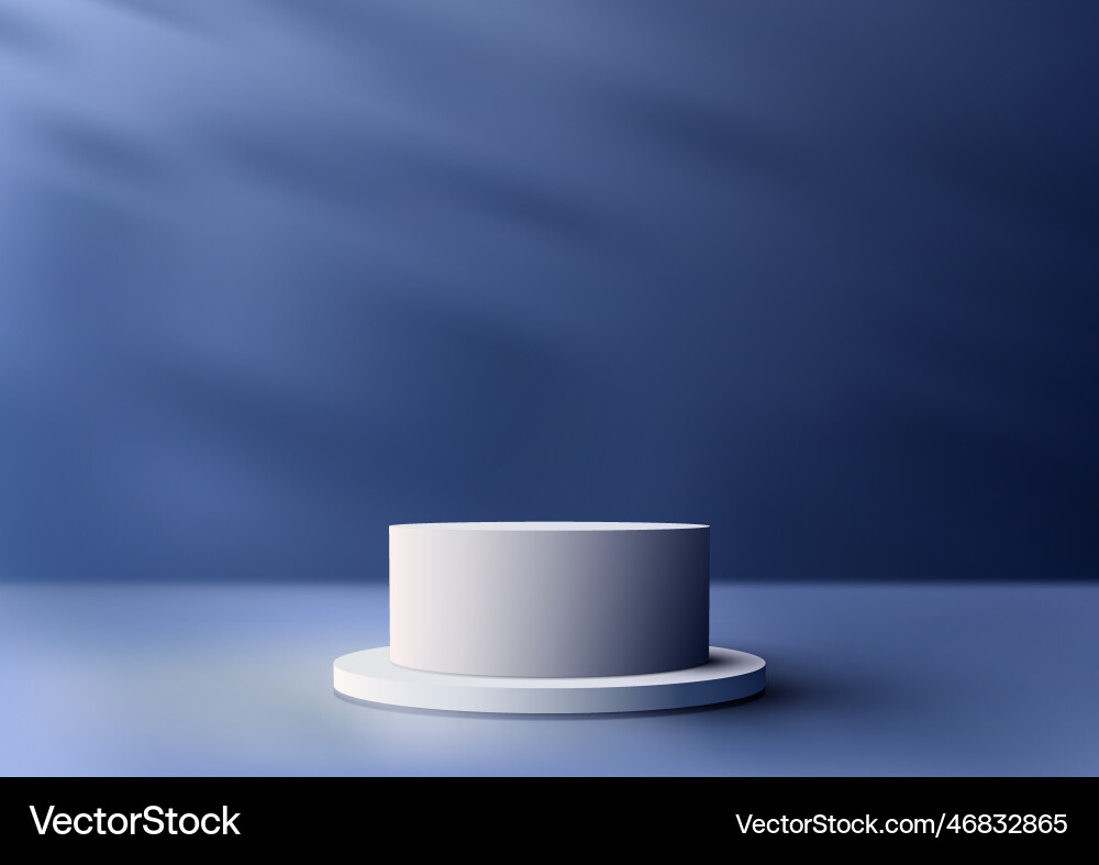 3d realistic empty white podium pedestal stand Vector Image