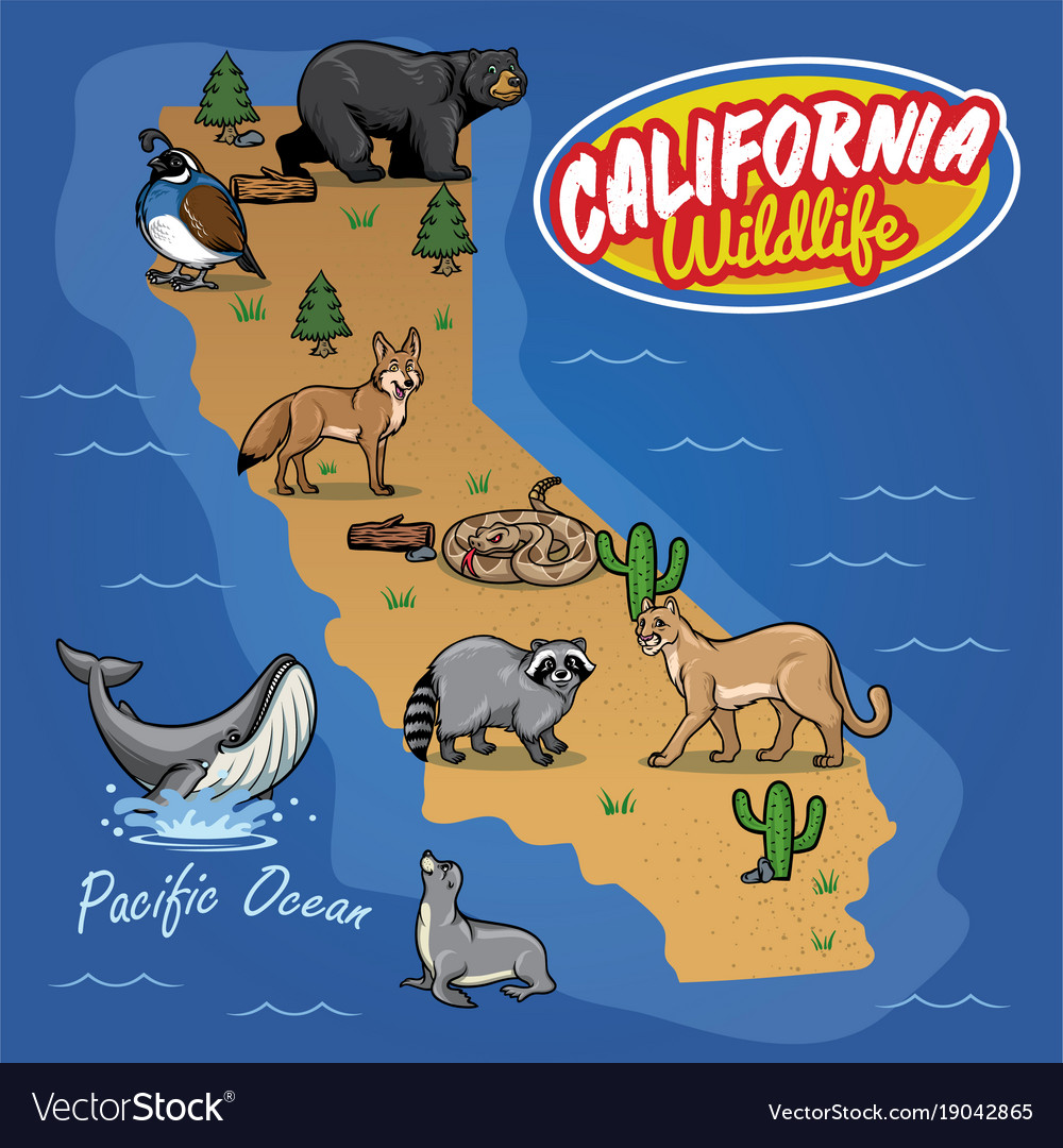 California map animal wildlife Royalty Free Vector Image