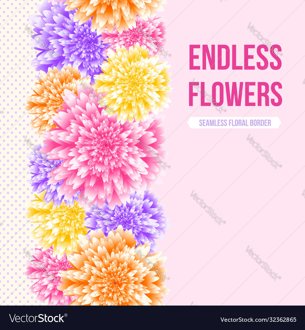 Chrysanthemum floral background