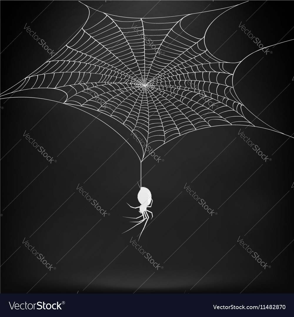 Spider web design Royalty Free Vector Image - VectorStock, spider web