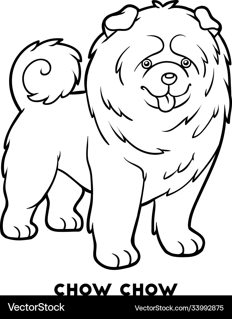 chow chow book