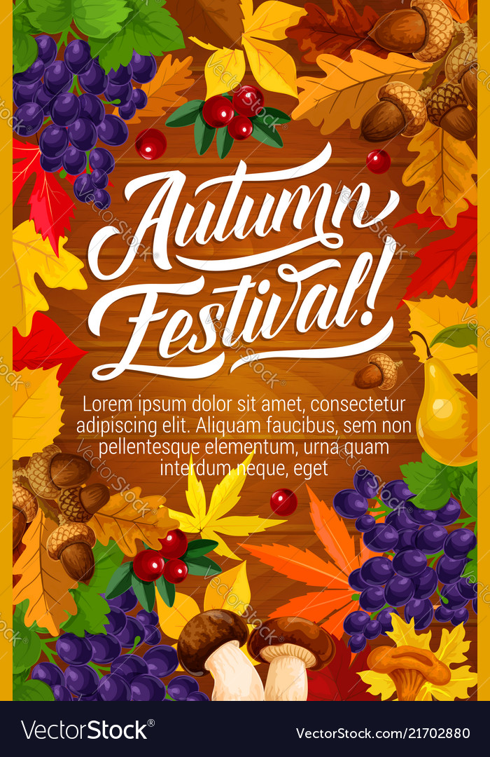 Autumn Festival Poster With Fall Harvest And Leaf Vector Image