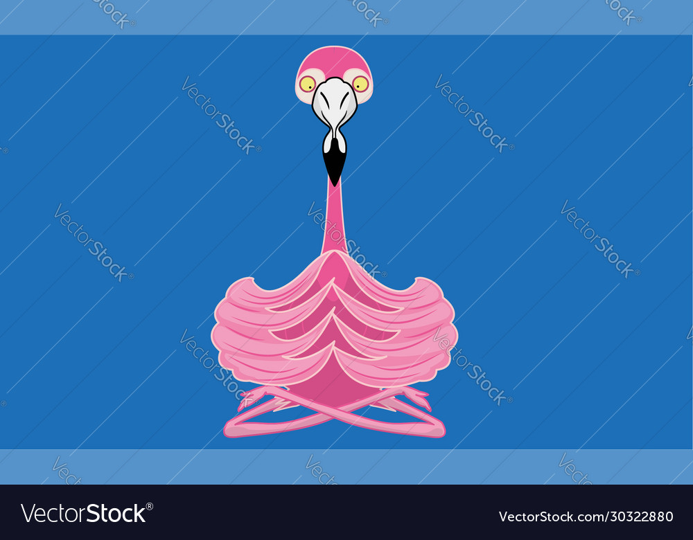 Yoga Practicing Flamingo Meditating Lotus Position 5424