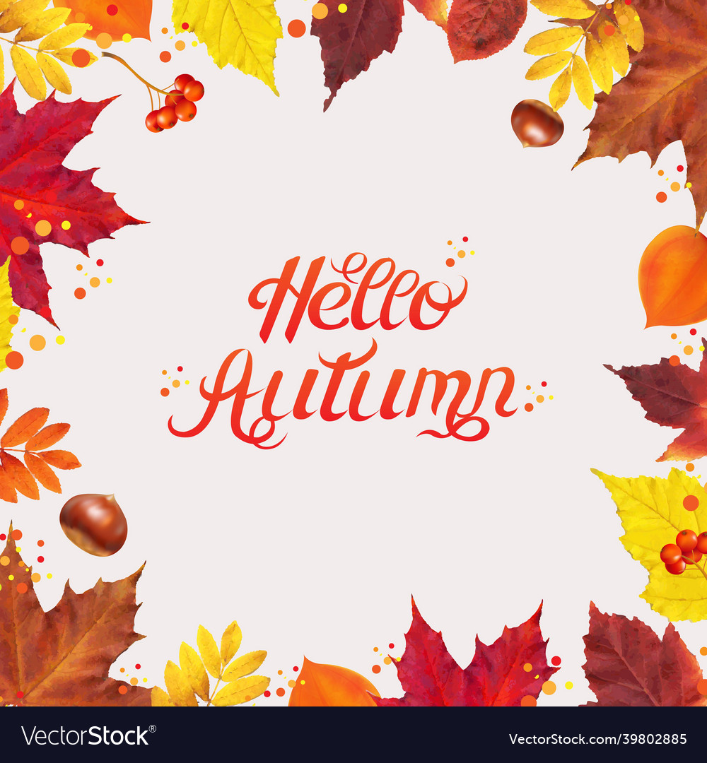 Autumn bright border with leaves Royalty Free Vector Image