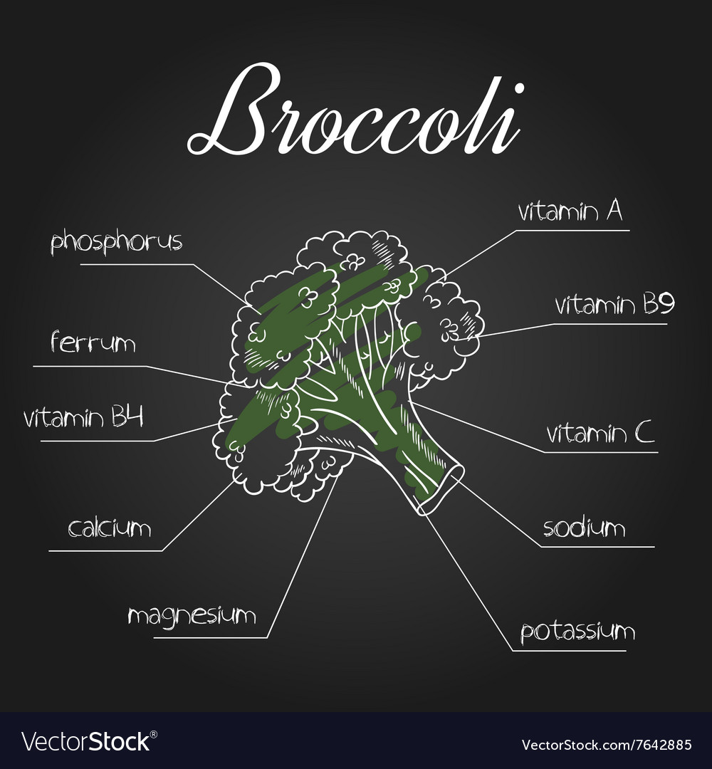 Nutrient list for broccoli Royalty Free Vector Image