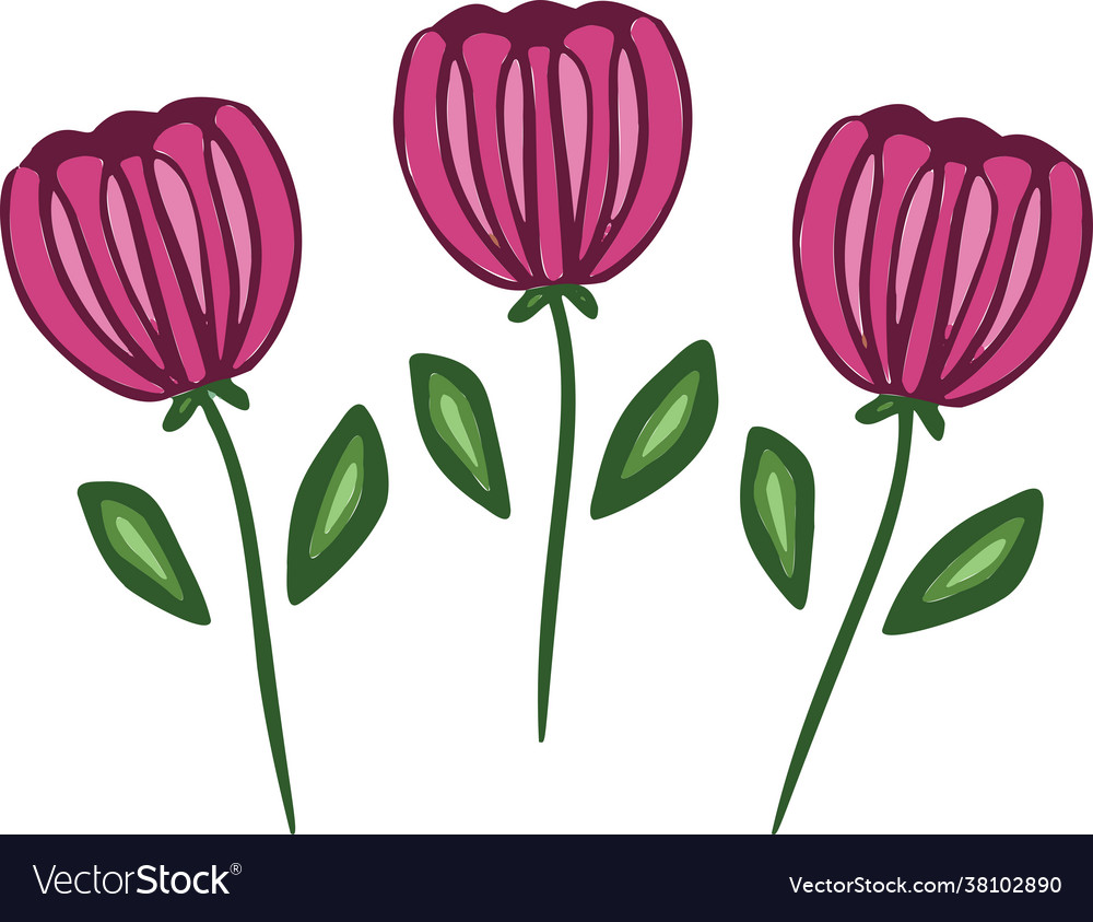 Pink romantic flowers icon tulips symbol Vector Image