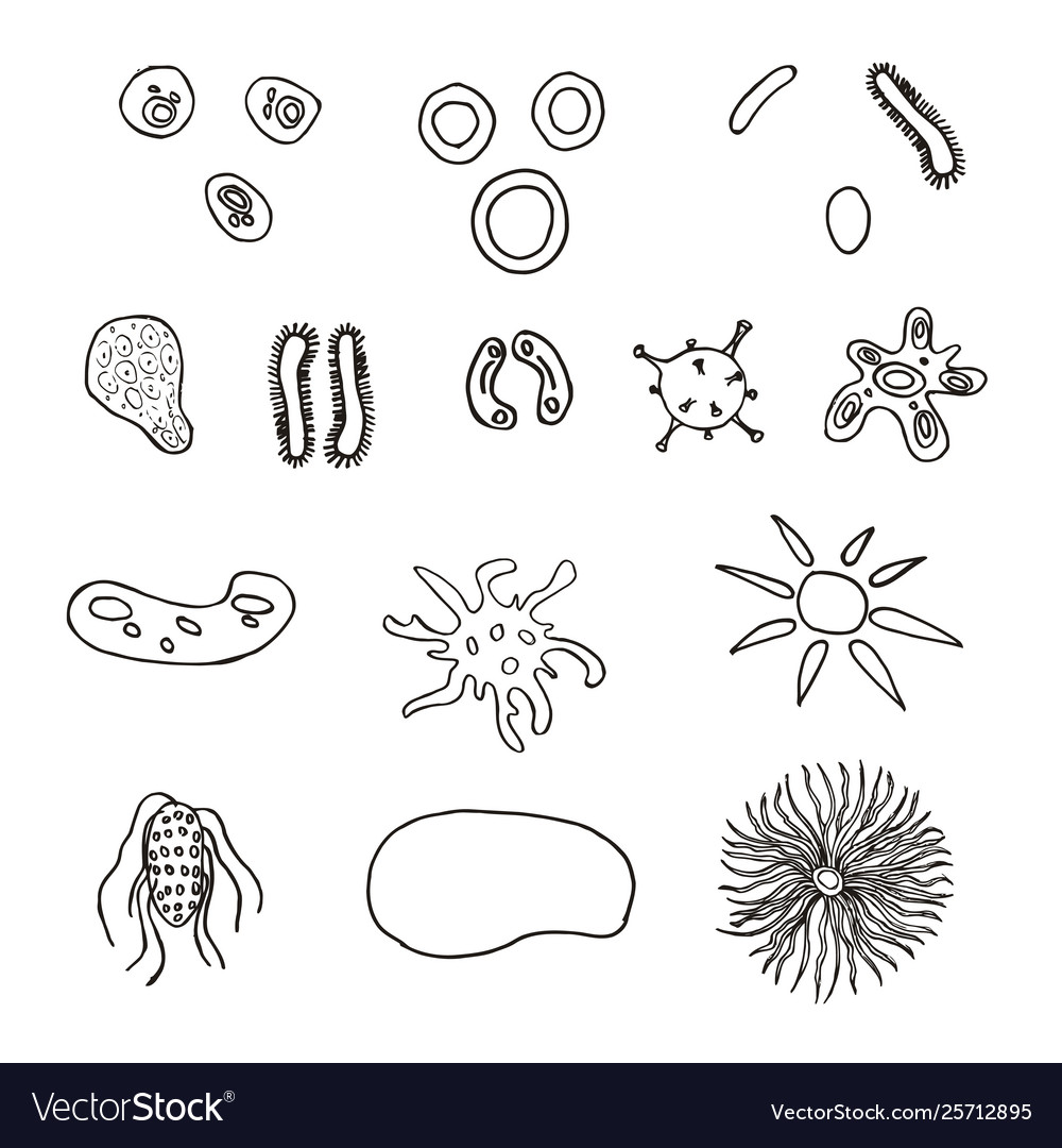 A set bacteria and viruses