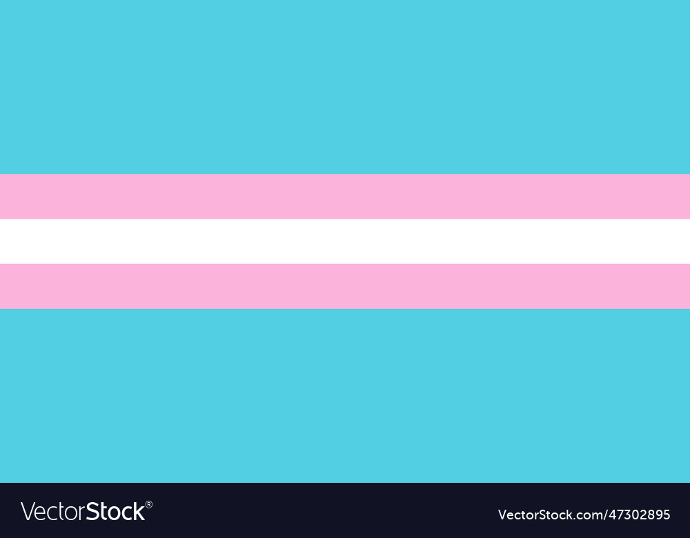 Transgender lgbtq pride flag in isolated Vector Image