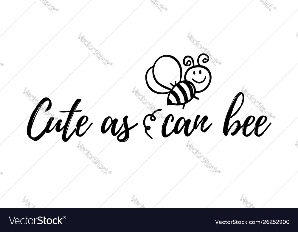 Cute As Can Bee Phrase With Doodle Royalty Free Vector Image