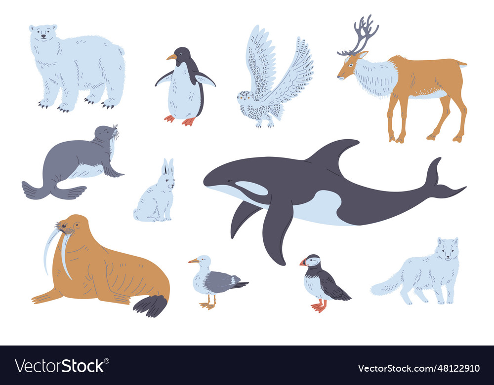 Arctic or polar circle animals and birds set flat Vector Image