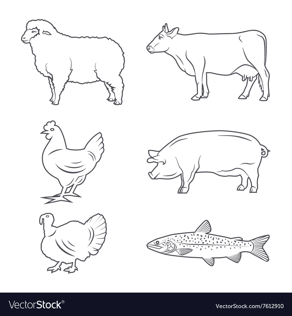 Farm animals Royalty Free Vector Image - VectorStock