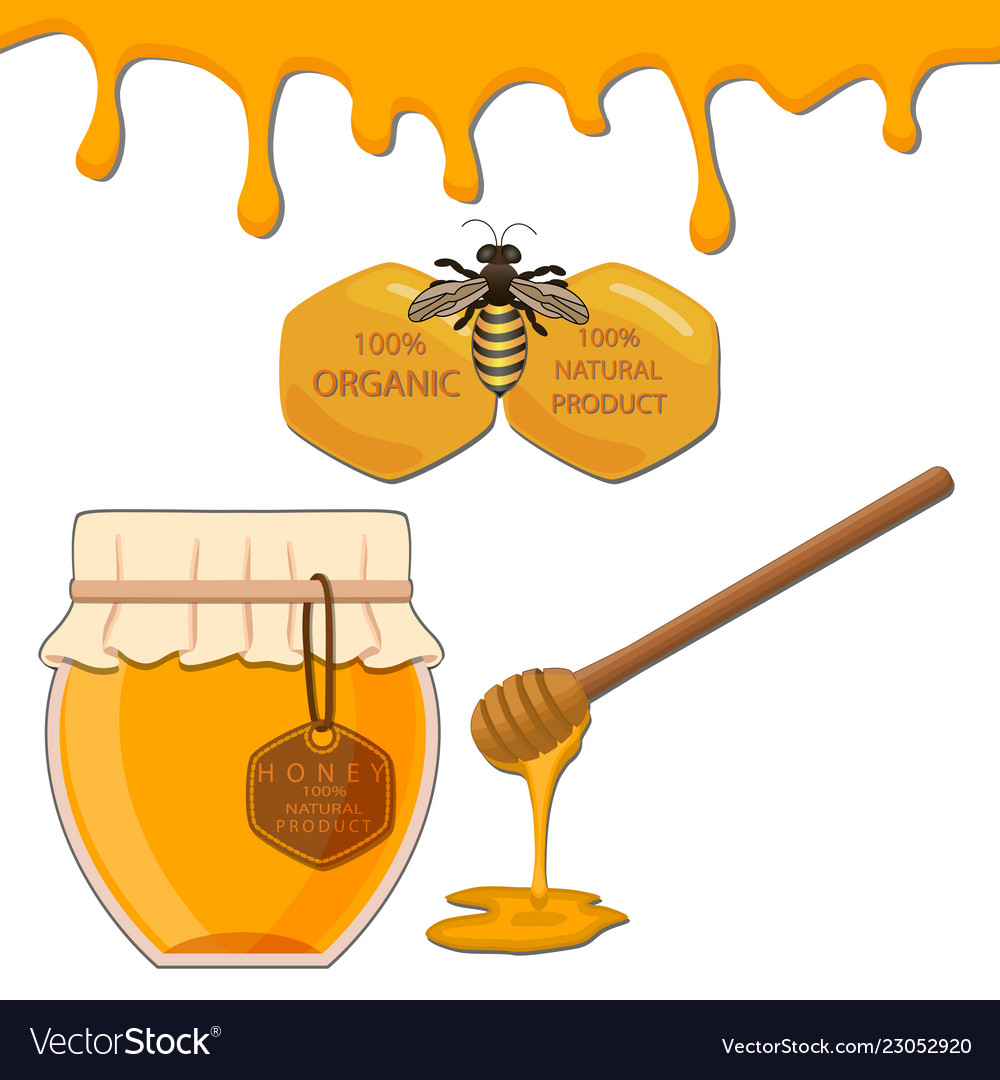 Organic Liquid Honey Royalty Free Vector Image