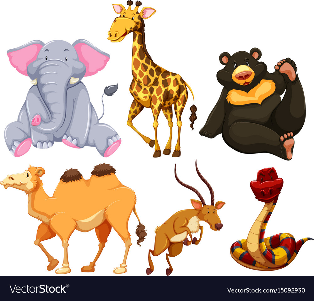 Six different types wild animals Royalty Free Vector Image