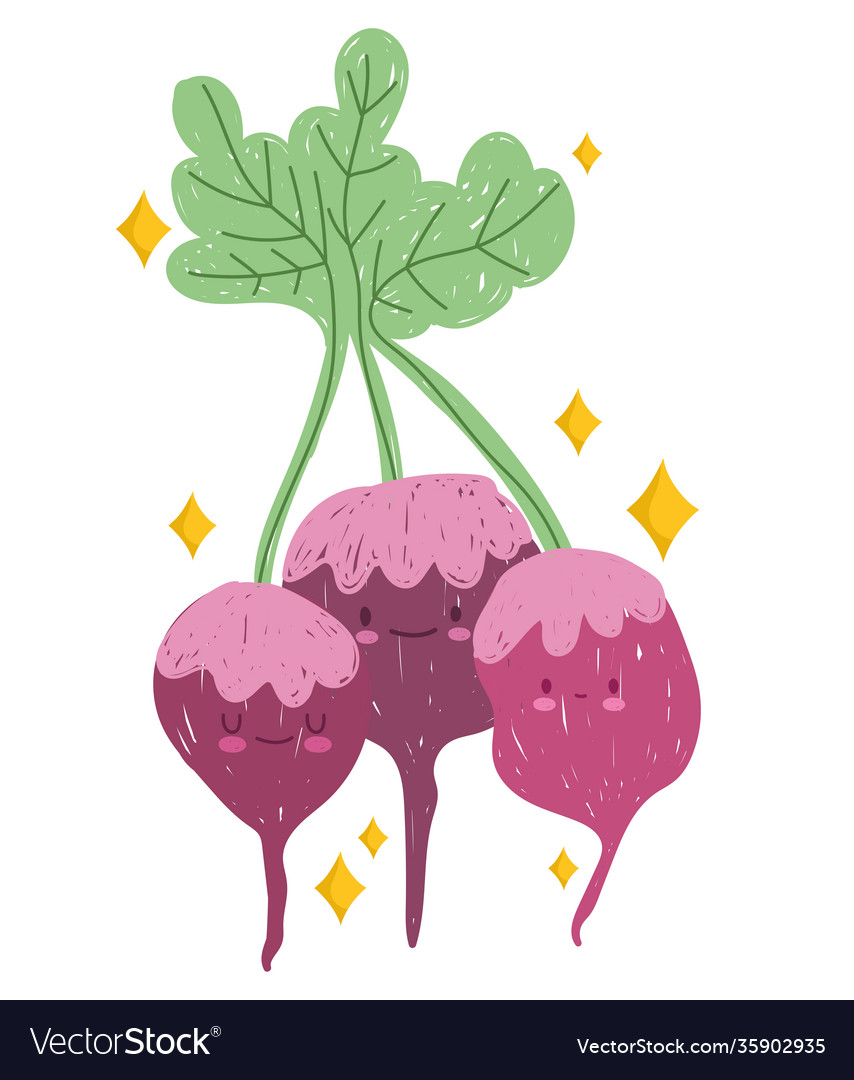 Cartoon beetroot vegetable food mascot icon Vector Image Cartoon beetroot vegetable food mascot icon Vector Image