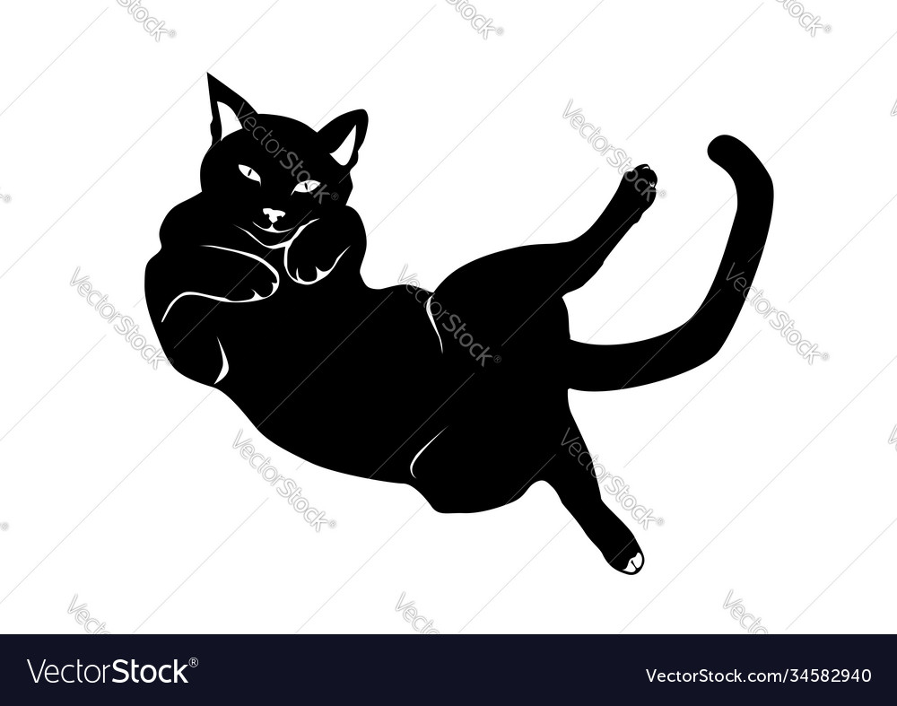 Cat lying on its back Royalty Free Vector Image