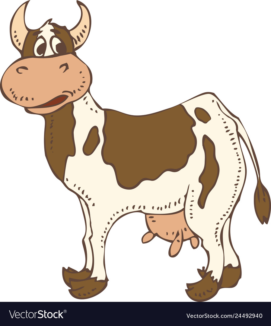 Isolated spotted cow Royalty Free Vector Image