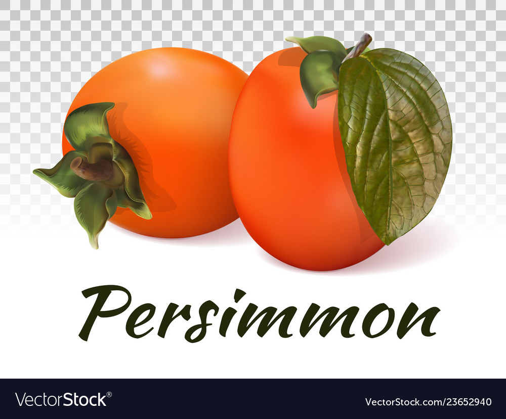 Two persimmon fruits