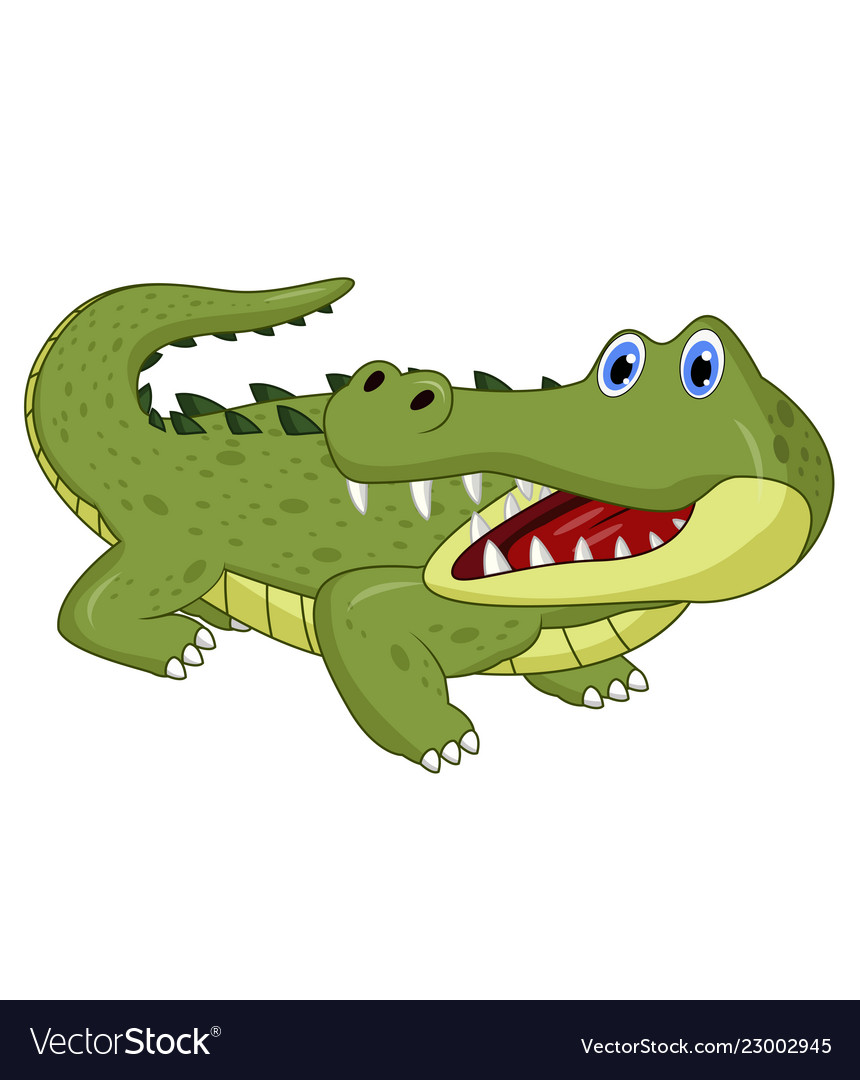 Cartoon crocodile isolated on white background Vector Image