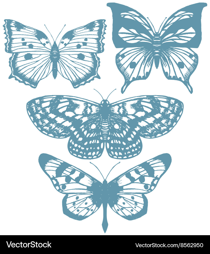 Set of hand drawn butterflies Royalty Free Vector Image