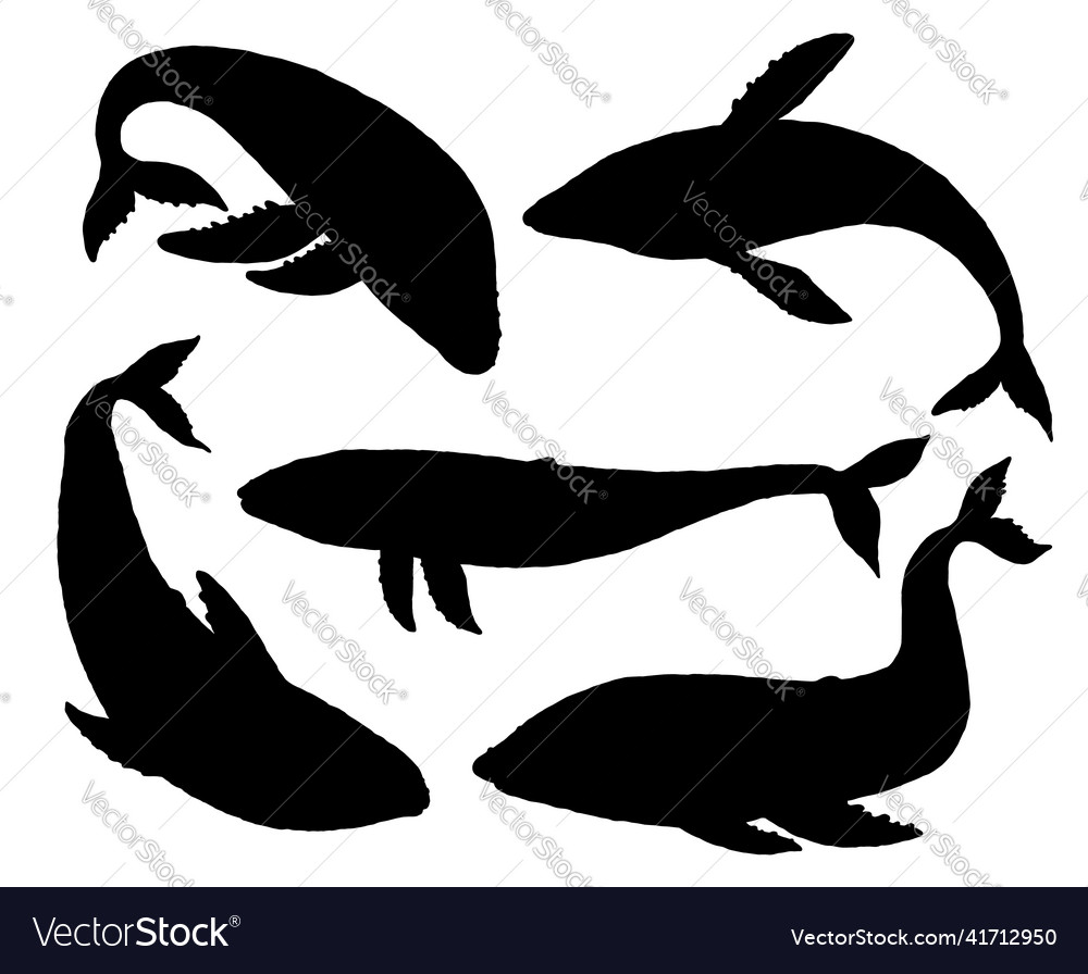 Whale silhouette set aquatic animal doodle