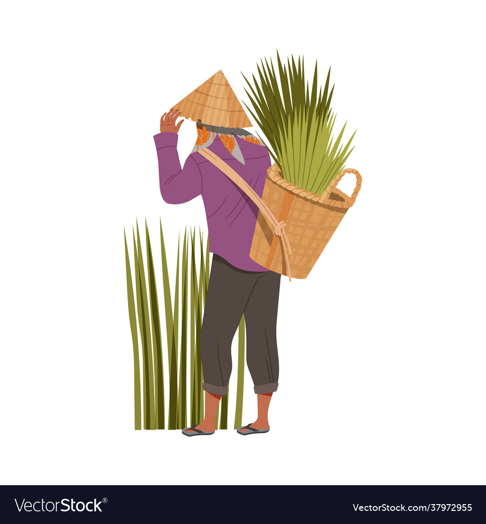 Asian Farmer In Straw Conical Hat Carrying Bundles