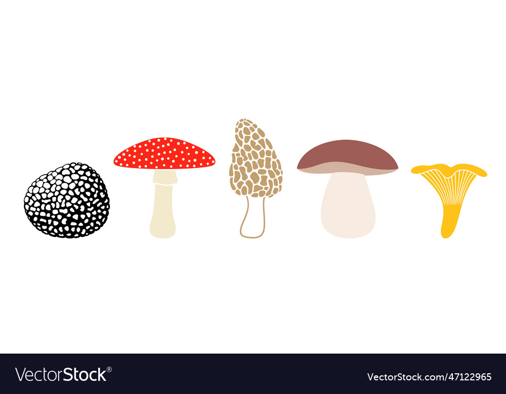 Mushroom Royalty Free Vector Image - VectorStock