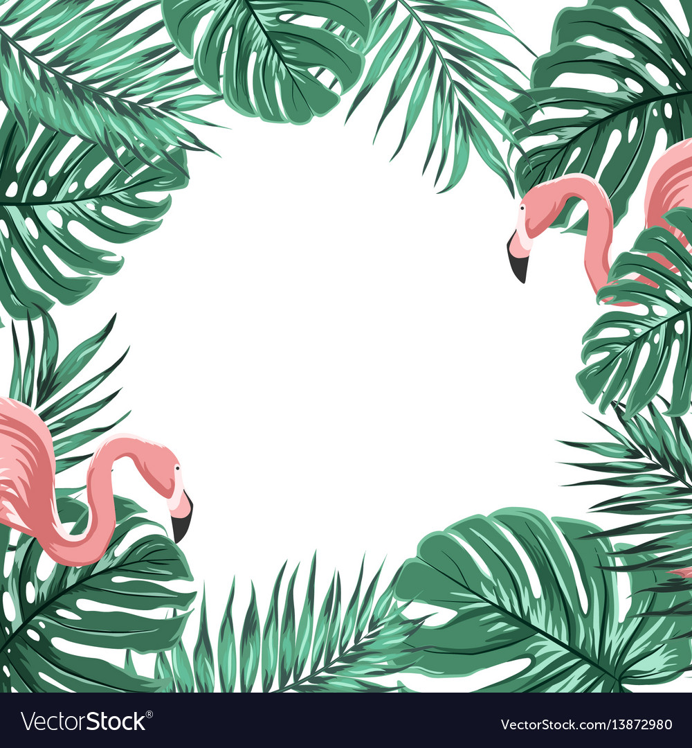 Tropical border frame leaves pink flamingo birds Vector Image