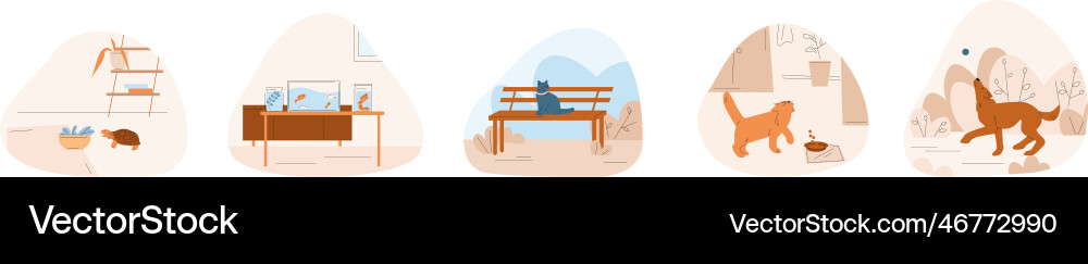 Pets scenes cute dog walking and playing turtle Vector Image