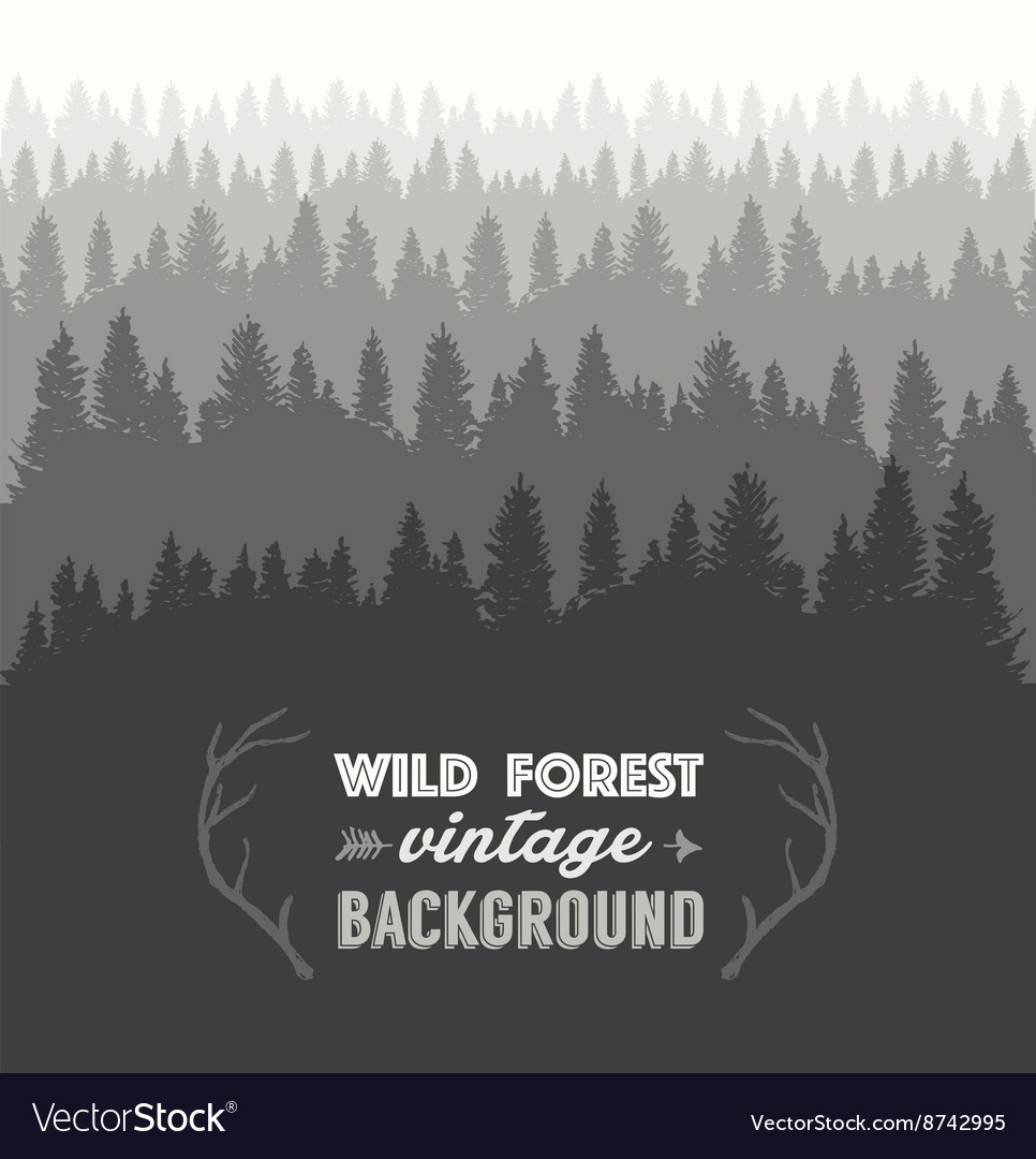 pine forest template drawn royalty free vector image