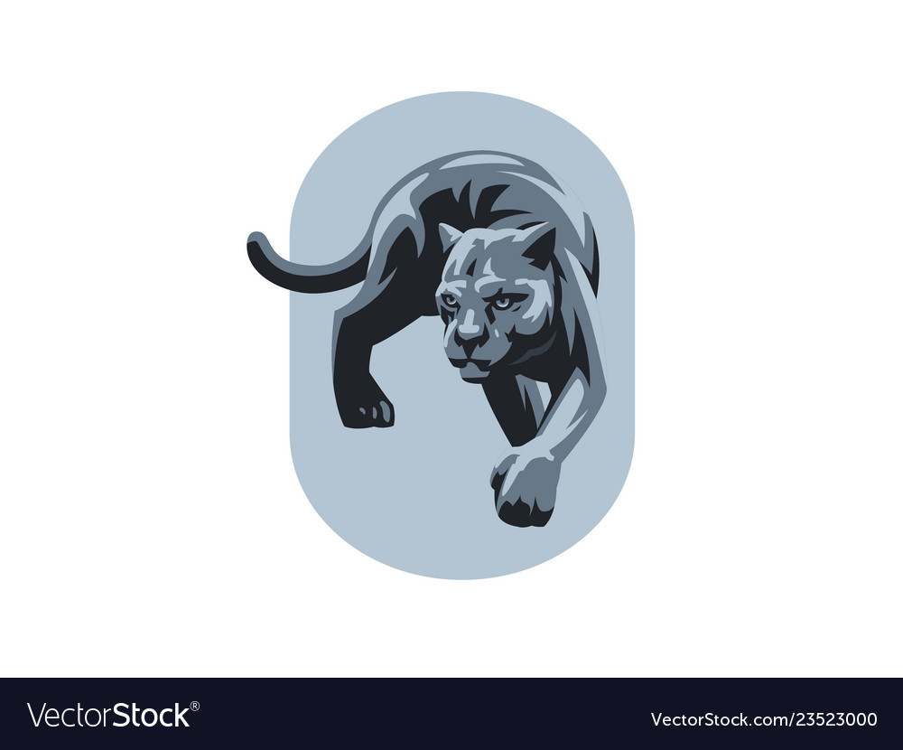 A panther or leopard vector image A panther or leopard