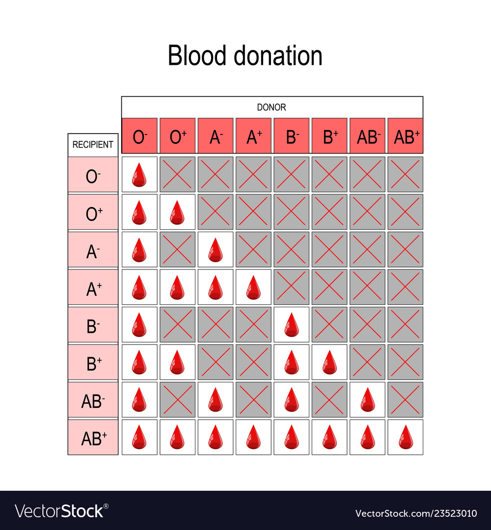 Blood Type Donor And Receiver Chart