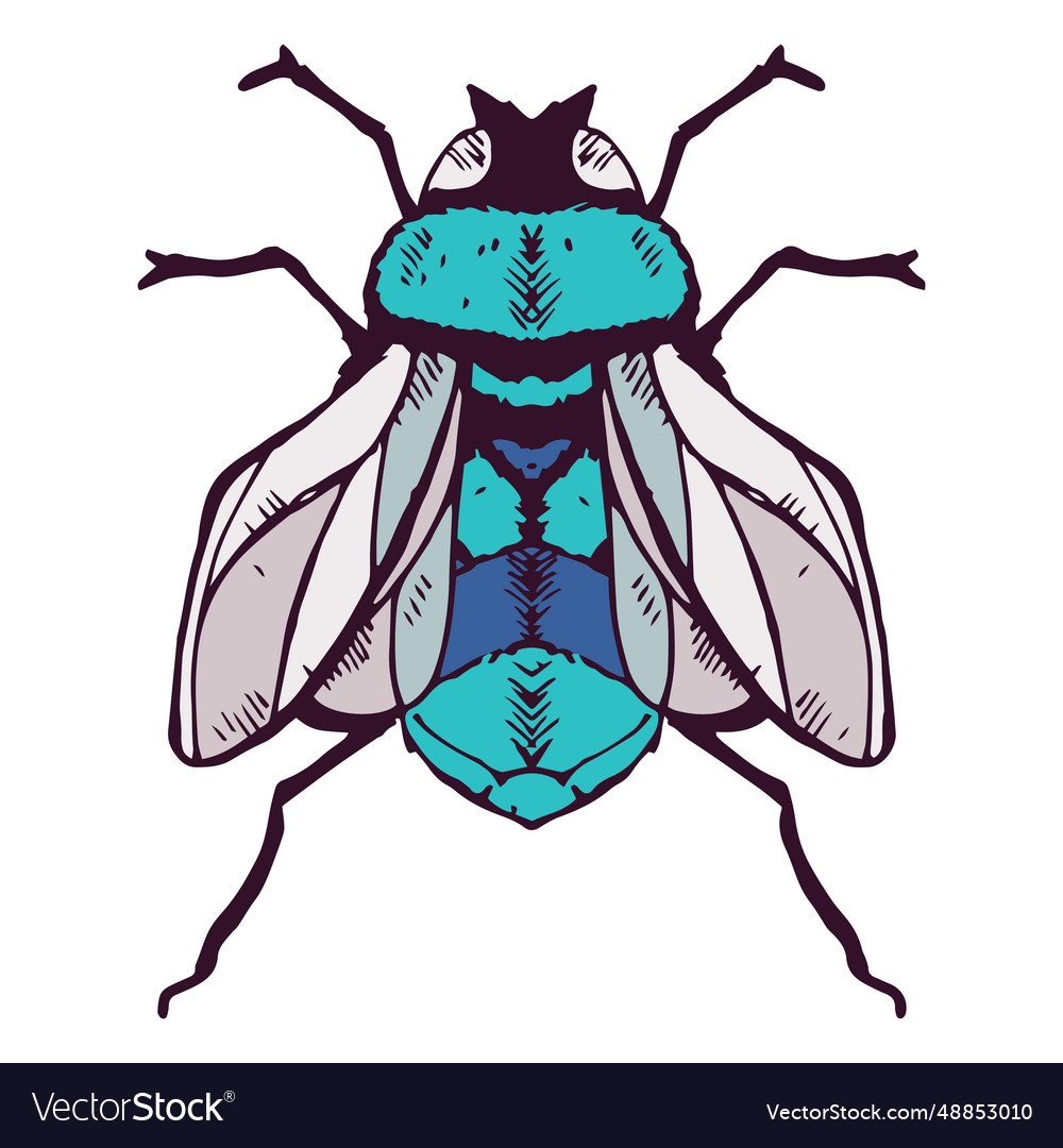 Learning to fly Royalty Free Vector Image - VectorStock