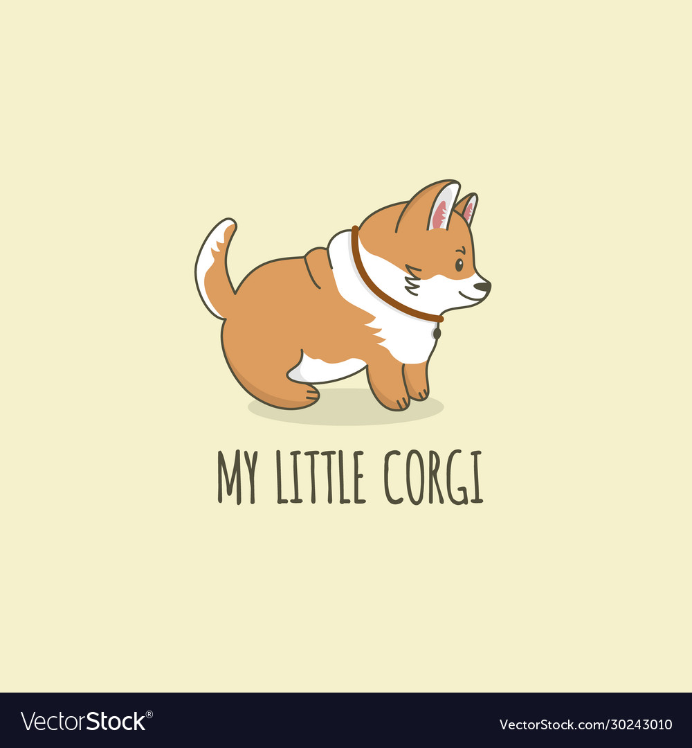 Little cute corgi dog is standing profile view Vector Image