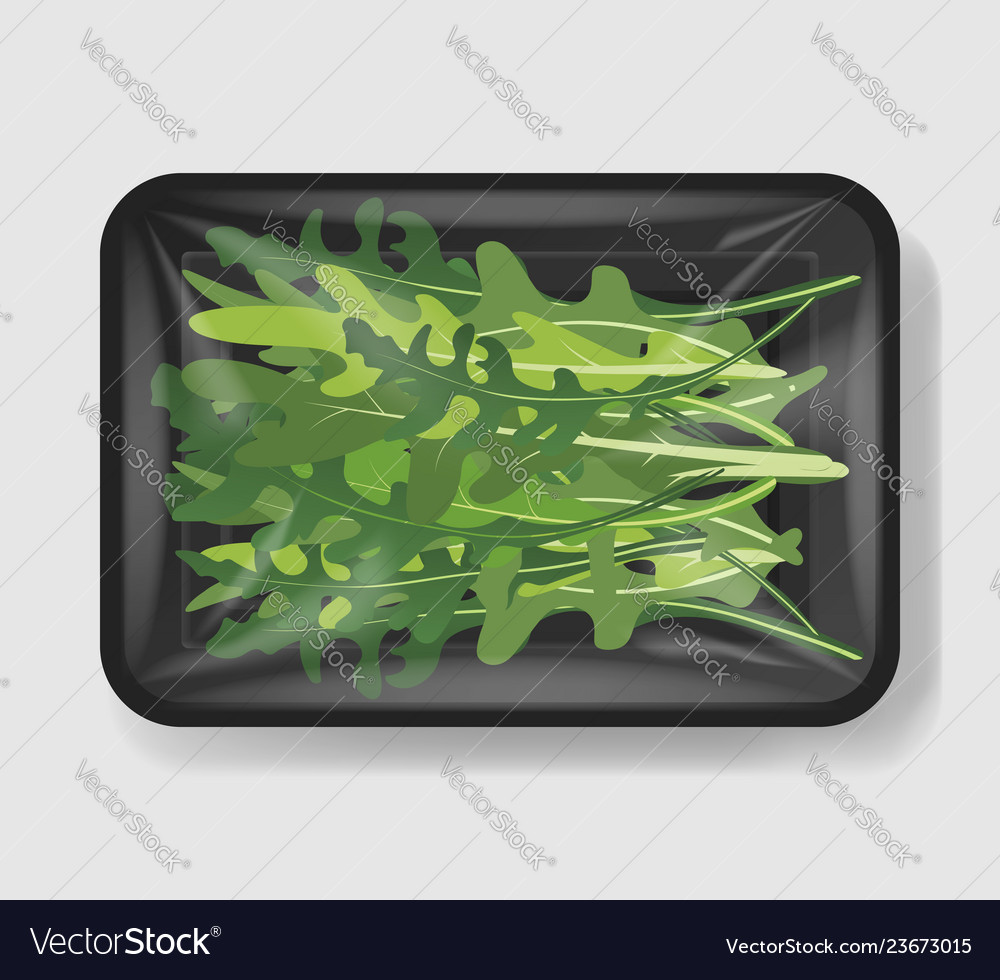 Arugula salad leaves with plastic tray container