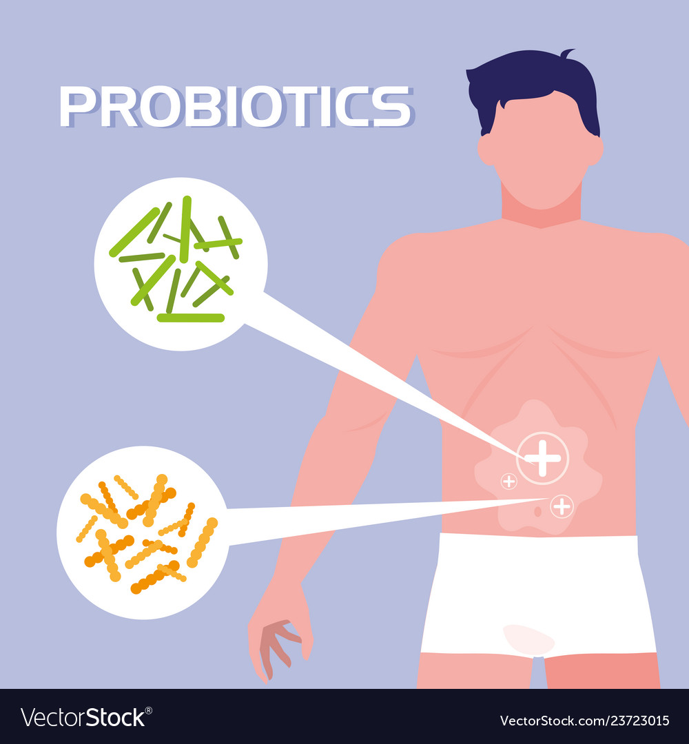 Body of man with probiotics organisms Royalty Free Vector