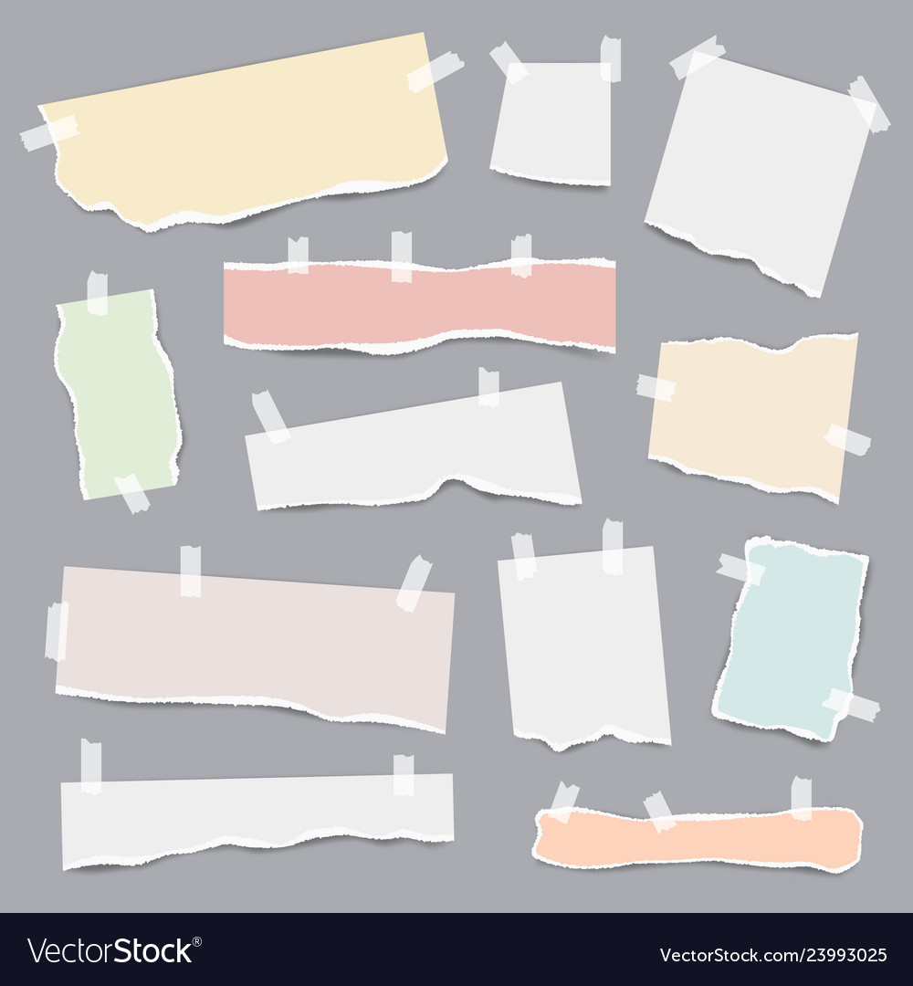 Taped paper ripped pieces white and colored Vector Image