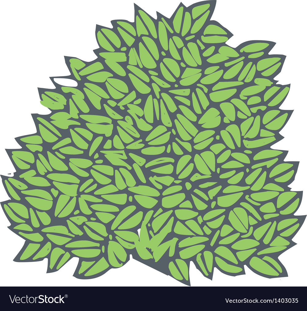 Dense undergrowth Royalty Free Vector Image - VectorStock