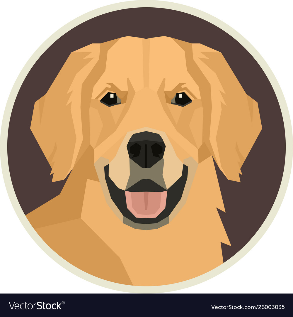 Butter Dog Meme Cute Golden Retriever Dank Meme Poster