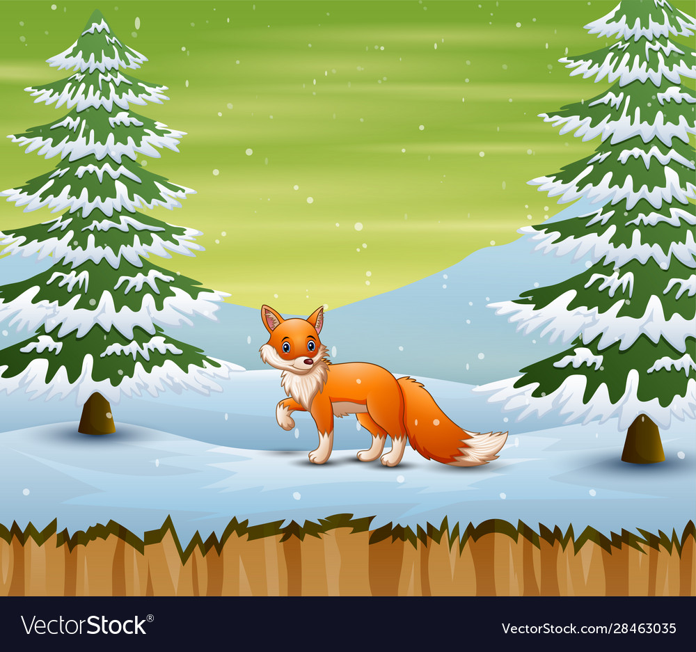 Fox in winter forest hunting a prey