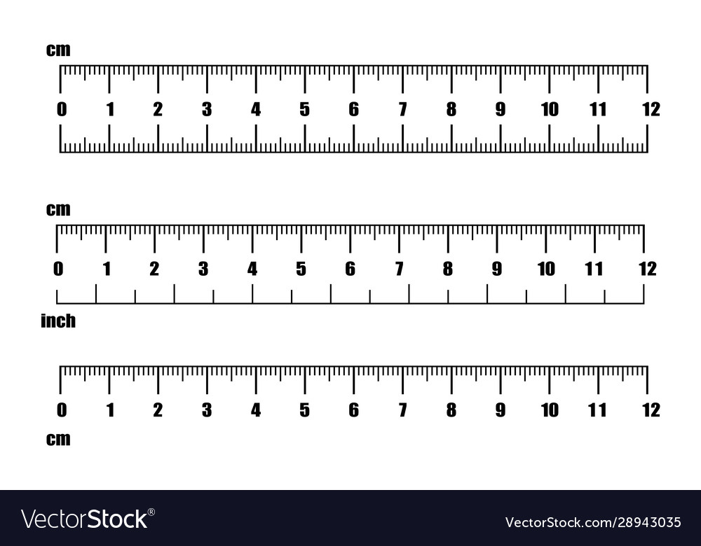 inch and metric rulers centimeters and inches vector image