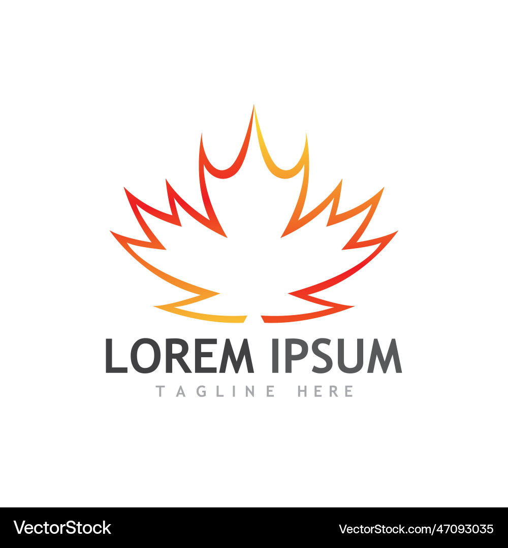 Maple leaf Royalty Free Vector Image - VectorStock