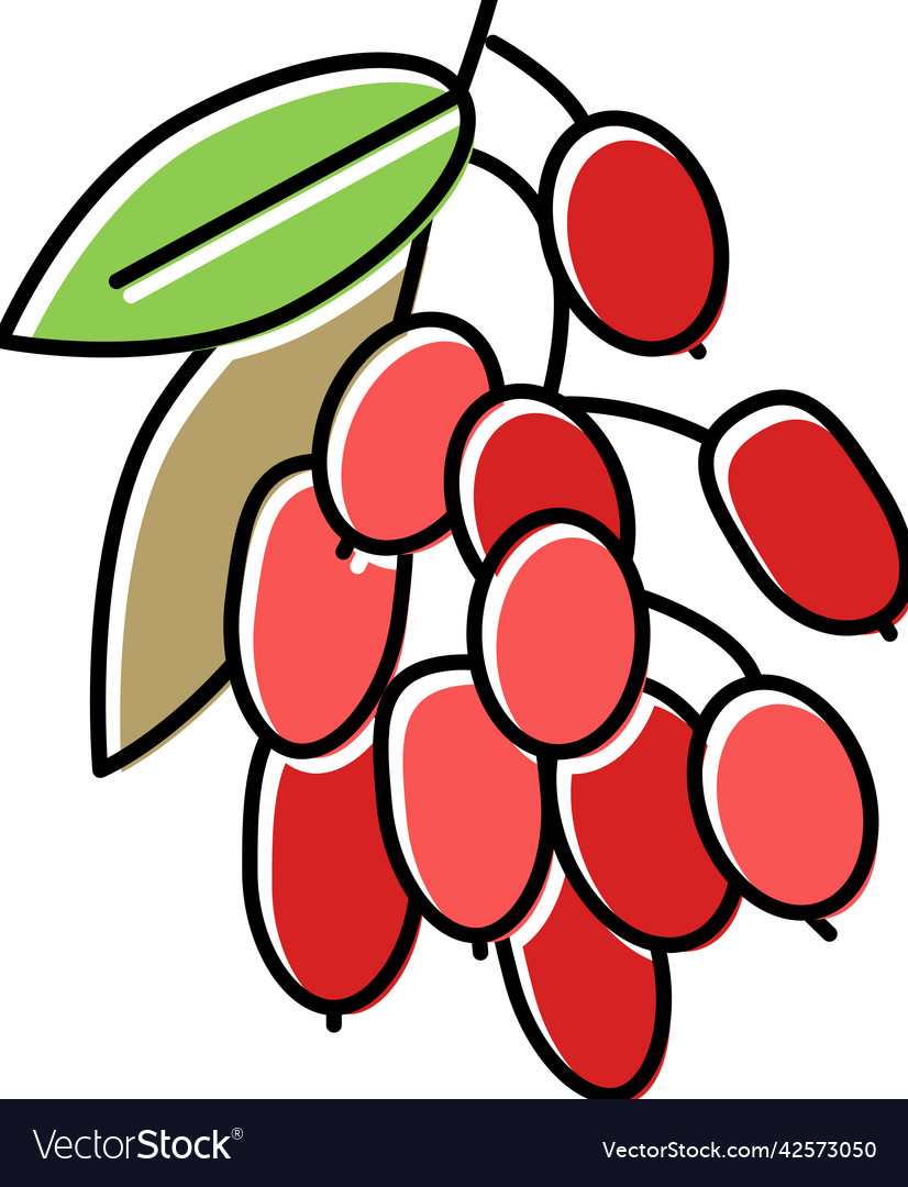 Goji berry and leaves color icon