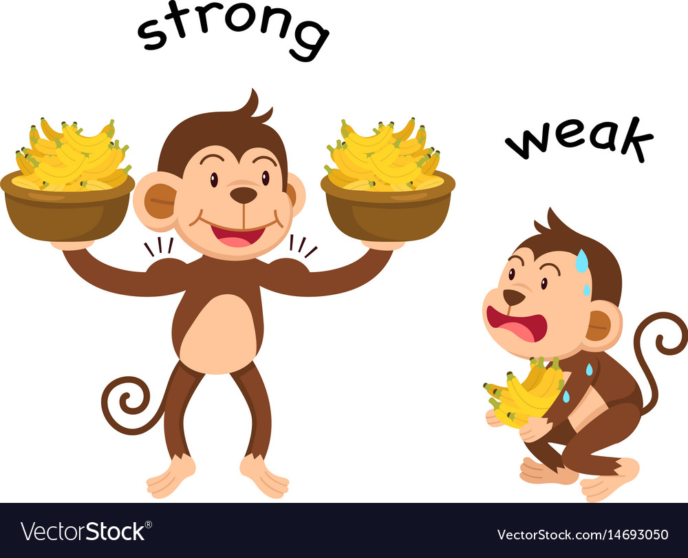 Opposite words strong and weak Royalty Free Vector Image