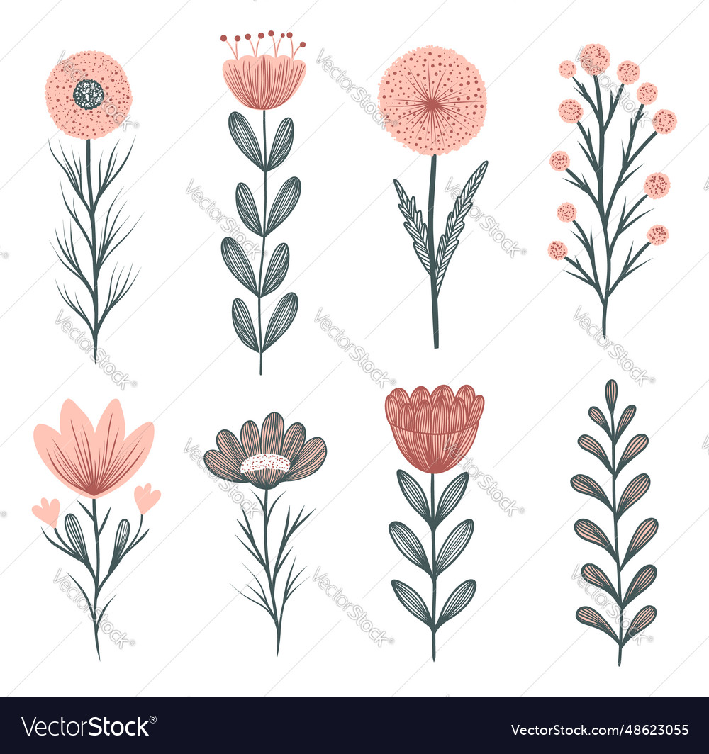 Collection of flowers in doodle style