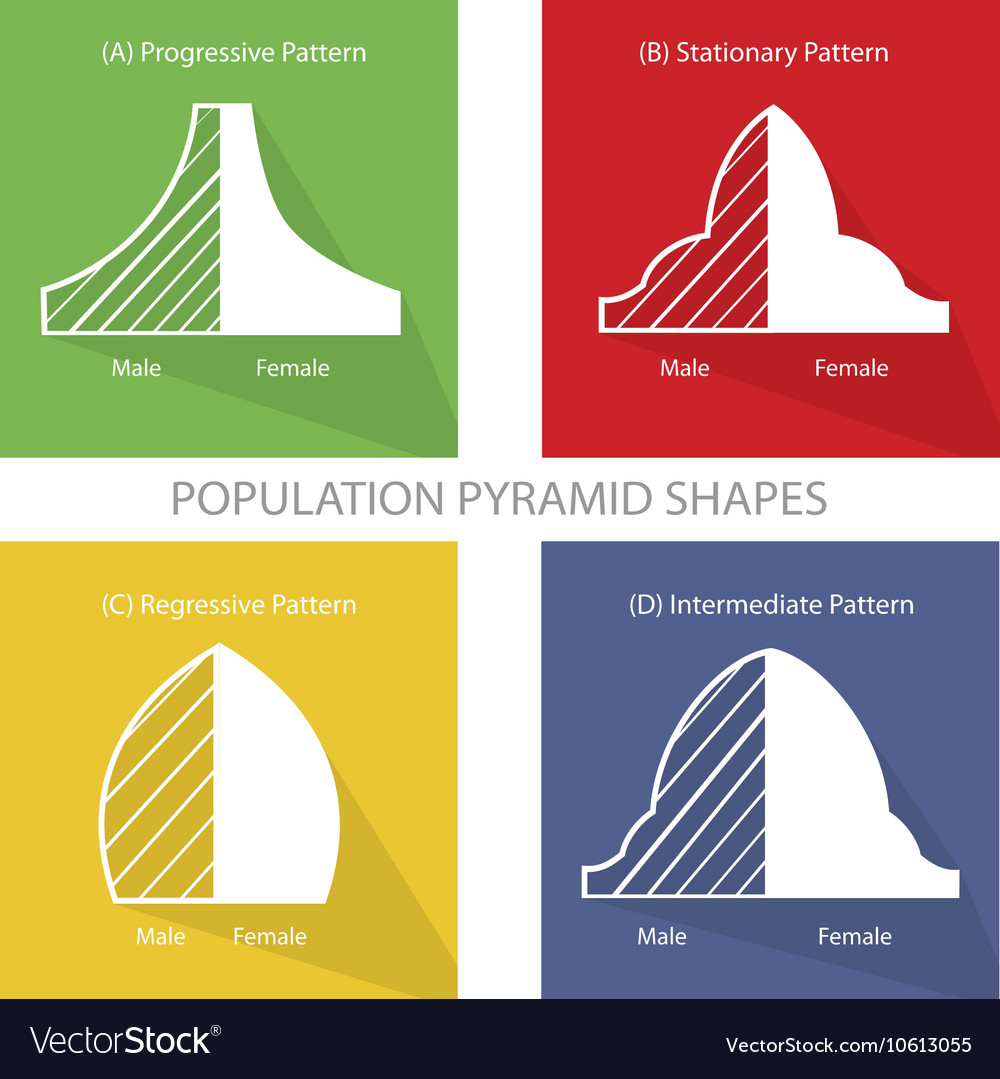 the-4-types-of-population-pyramids-graphs-vector-image