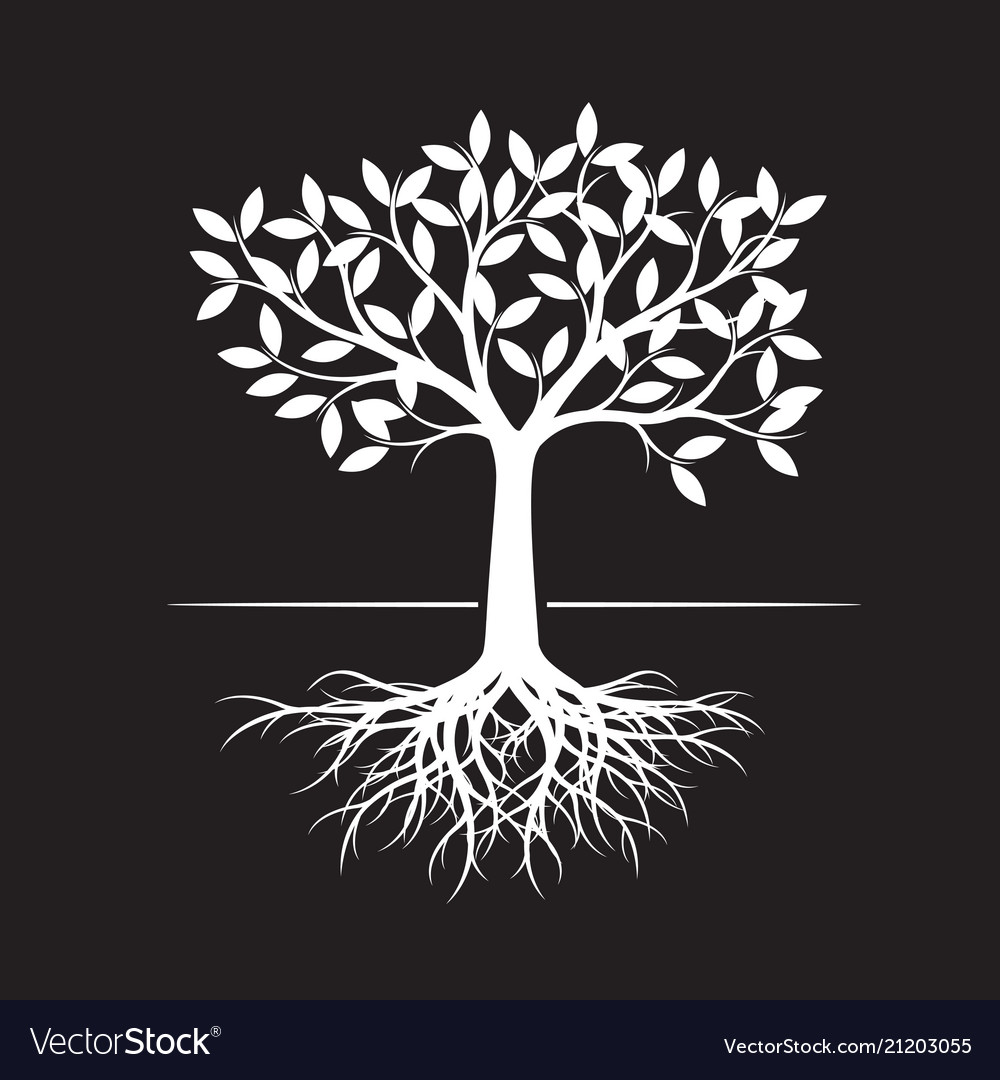 White tree with root on black background Vector Image