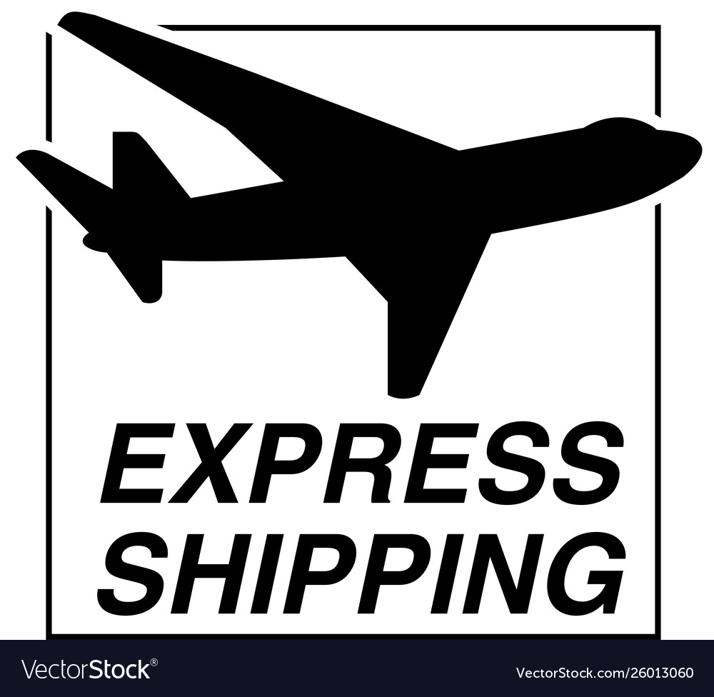 https://cdn1.vectorstock.com/i/1000x1000/30/60/flying-airplane-express-delivery-shipping-concept-vector-26013060.jpg